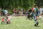 Photo albulle/datas/photos/Saison 2010-2011/Challenge 37/Azay Sur Cher 21.05.11/DSC09782 (FILEminimizer).JPG