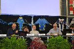 Photo albulle/datas/photos/Saison 2015-2016/AG Club 21112015/DSC_0465.jpg
